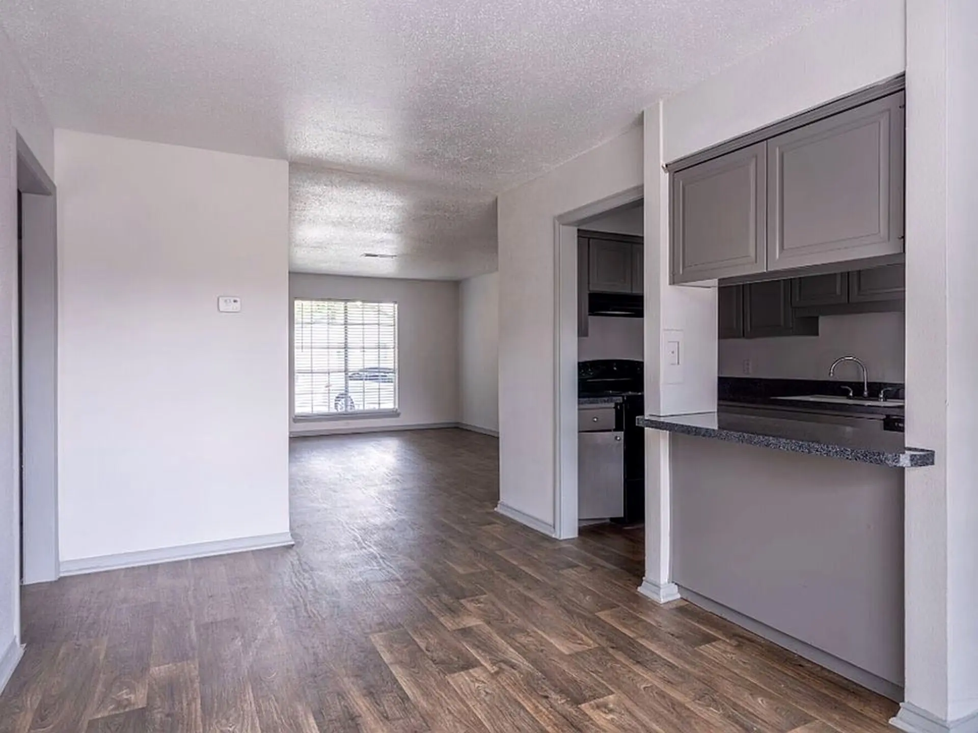 Open kitchen and living layout